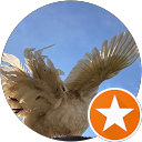 ぽぽたん profile picture