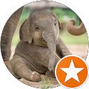 jnwpea profile picture