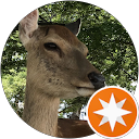 yobo yobo profile picture