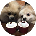 まーにゃん profile picture