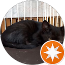 吉田直樹 profile picture