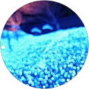 ぴよ profile picture