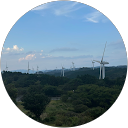 上田帆華 profile picture