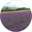 Nami profile picture