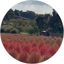 くみ profile picture