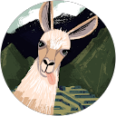 hana profile picture