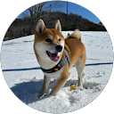 村上真奈美 profile picture