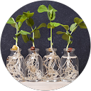 いあお profile picture