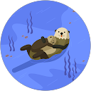 Jane Doe profile picture