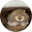 Nao A profile picture