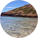 Chie profile picture