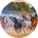 Sukanda kanwanwanith profile picture